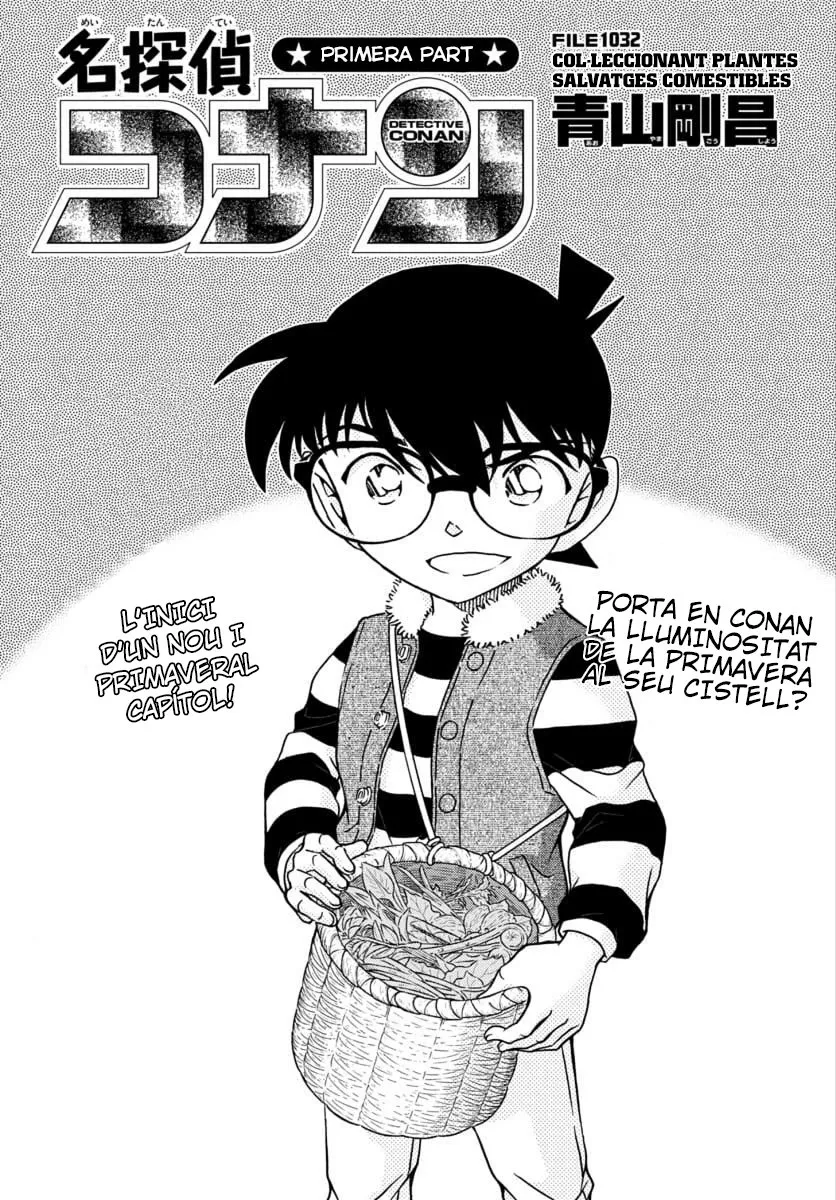 Detective Conan (Català) Capítulo 1032 en Línea - página 1