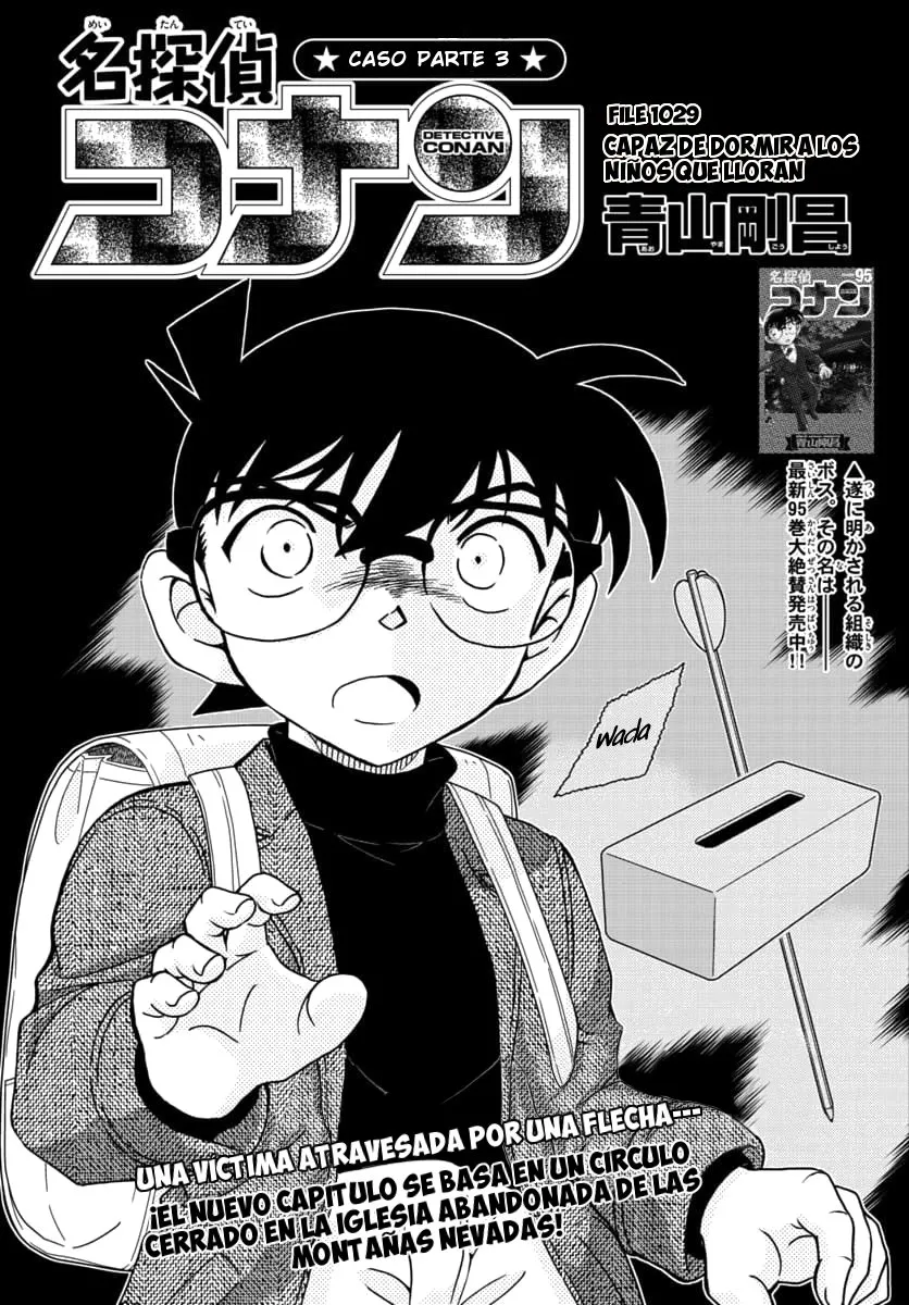 Detective Conan Capítulo 1029 en Línea - página 1