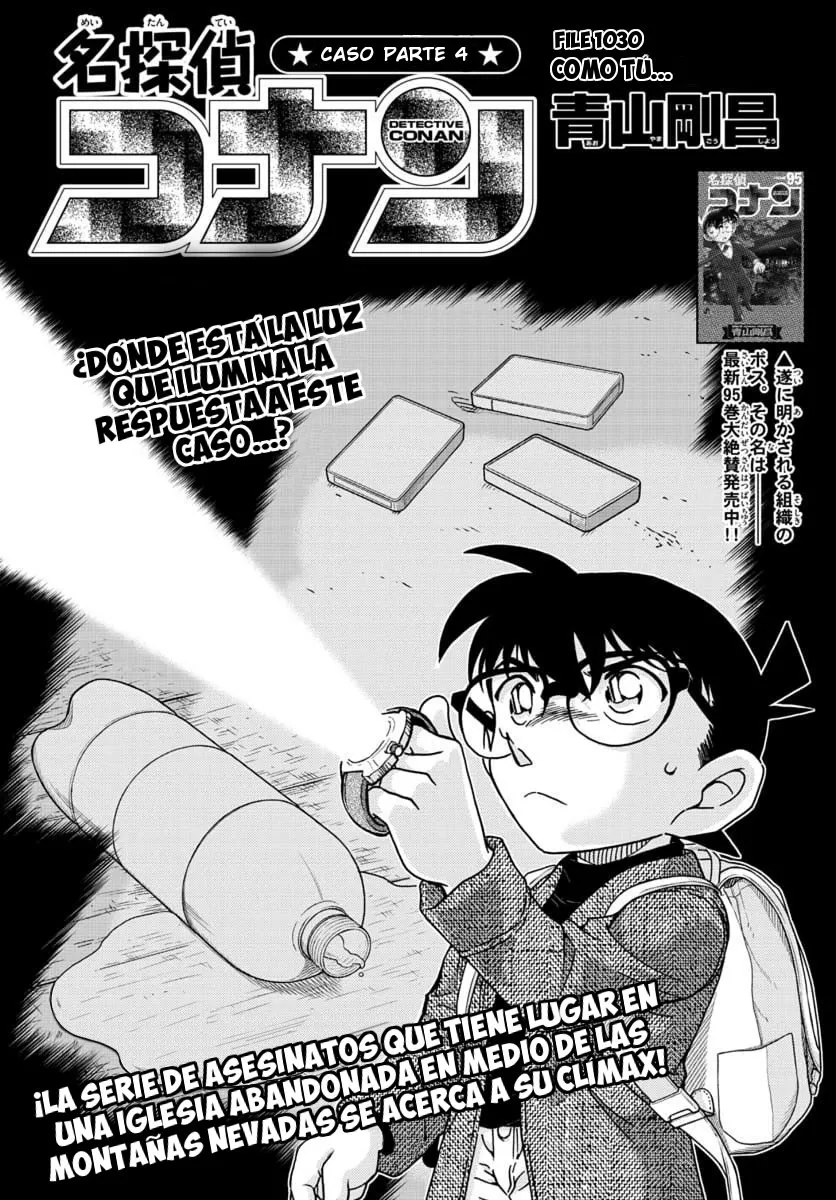 Detective Conan Capítulo 1030 en Línea - página 1