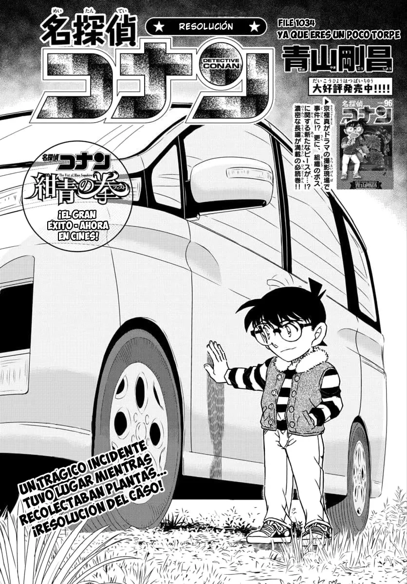 Detective Conan Capítulo 1034 en Línea - página 1