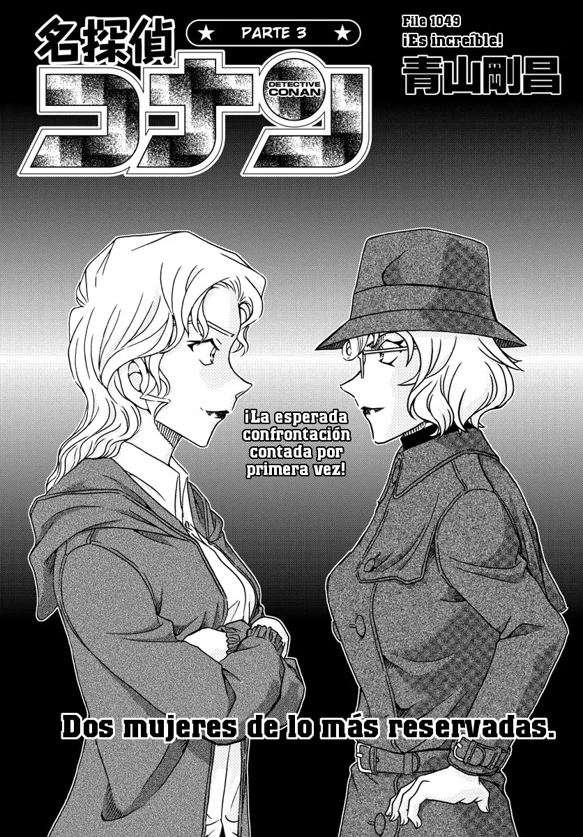 Detective Conan Capítulo 1049 en Línea - página 1