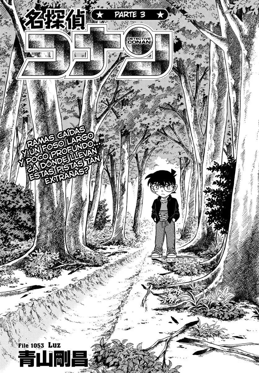 Detective Conan Capítulo 1053 en Línea - página 1