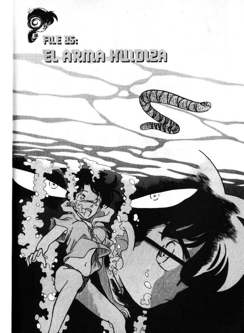 Detective Conan Capítulo 164 en Línea - página 1