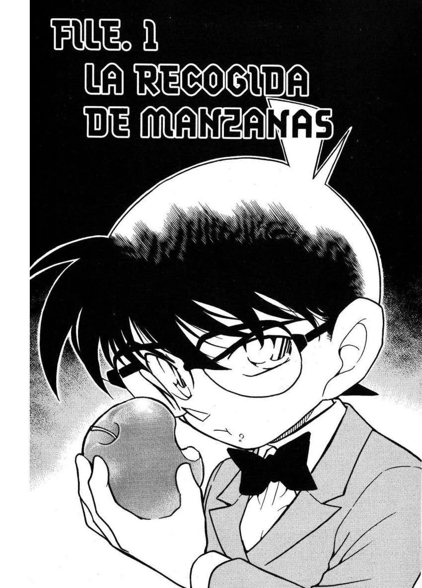 Detective Conan Capítulo 340 en Línea - página 1