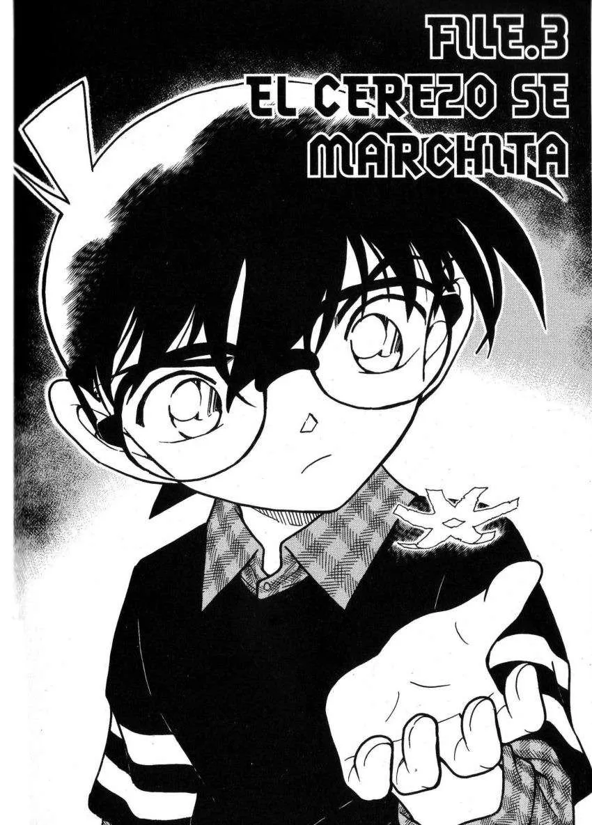 Detective Conan Capítulo 688 en Línea - página 1