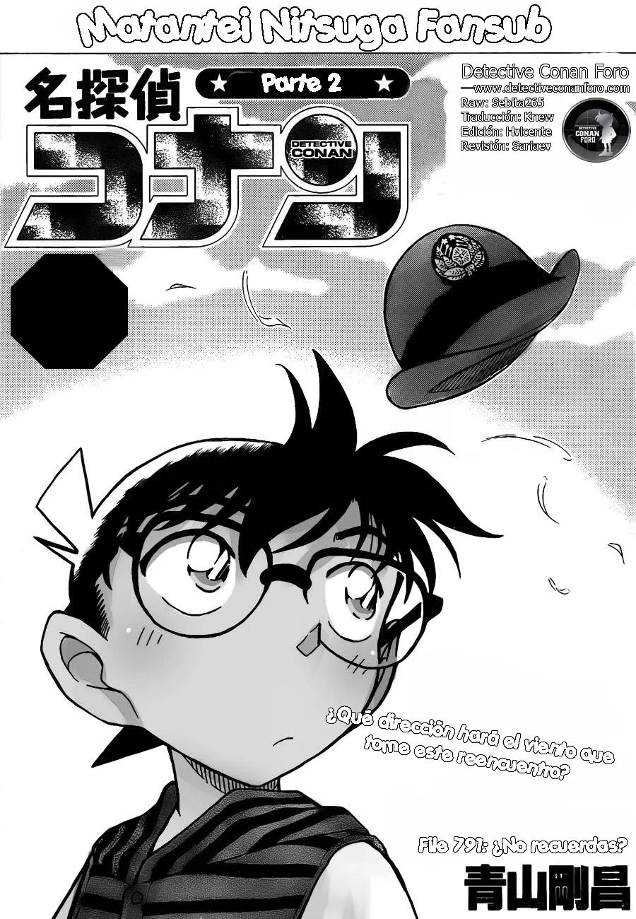 Detective Conan Capítulo 791 en Línea - página 1