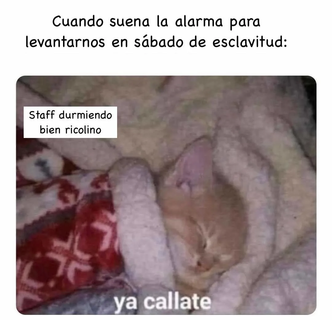 Di a luz al hijo del tirano Capítulo 24 en Línea - página 6