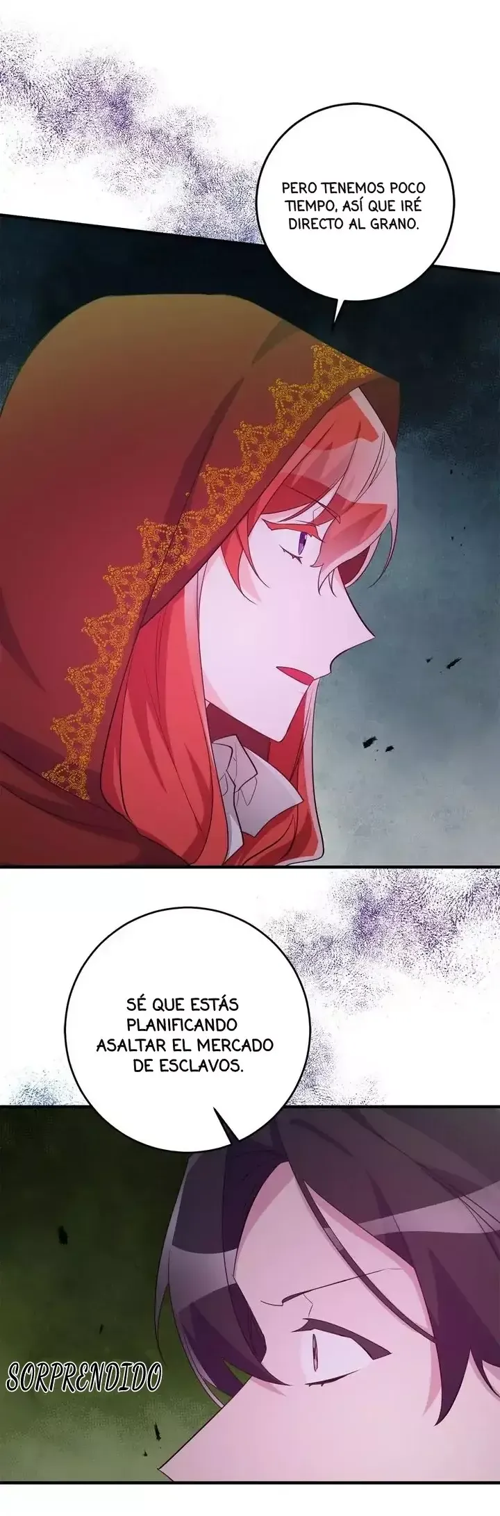 Domando a la Dama Capítulo 74 en Línea - página 11