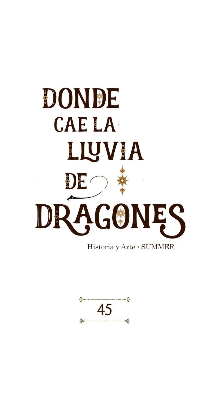 Donde cae la lluvia de dragones Capítulo 45 en Línea - página 3