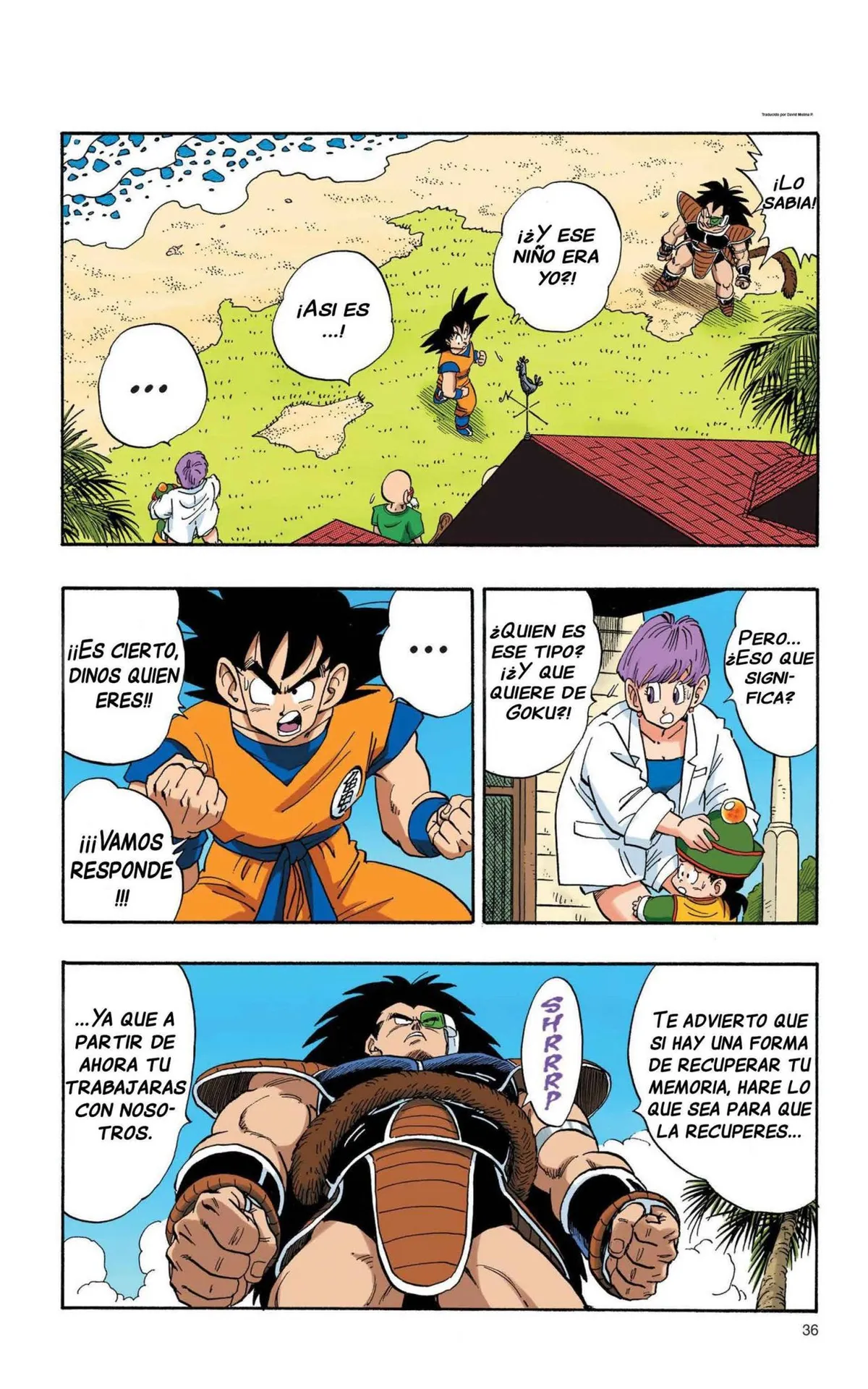 Dragon Ball Full Color Saiyan Arc Capítulo 1 en Línea - página 40