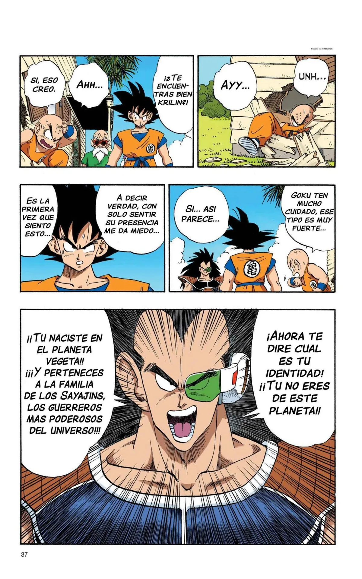 Dragon Ball Full Color Saiyan Arc Capítulo 1 en Línea - página 41
