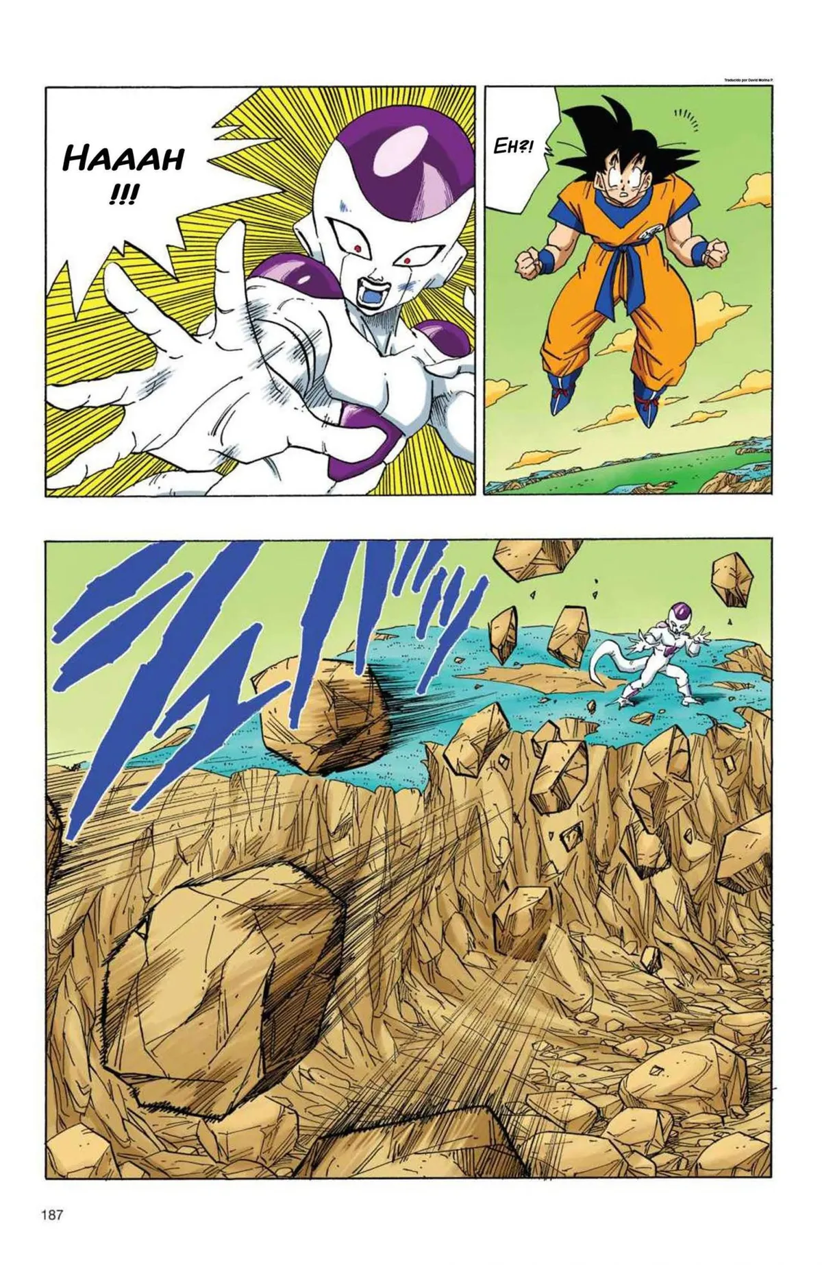 Dragon Ball Full Color Saiyan Arc Capítulo 10 en Línea - página 78