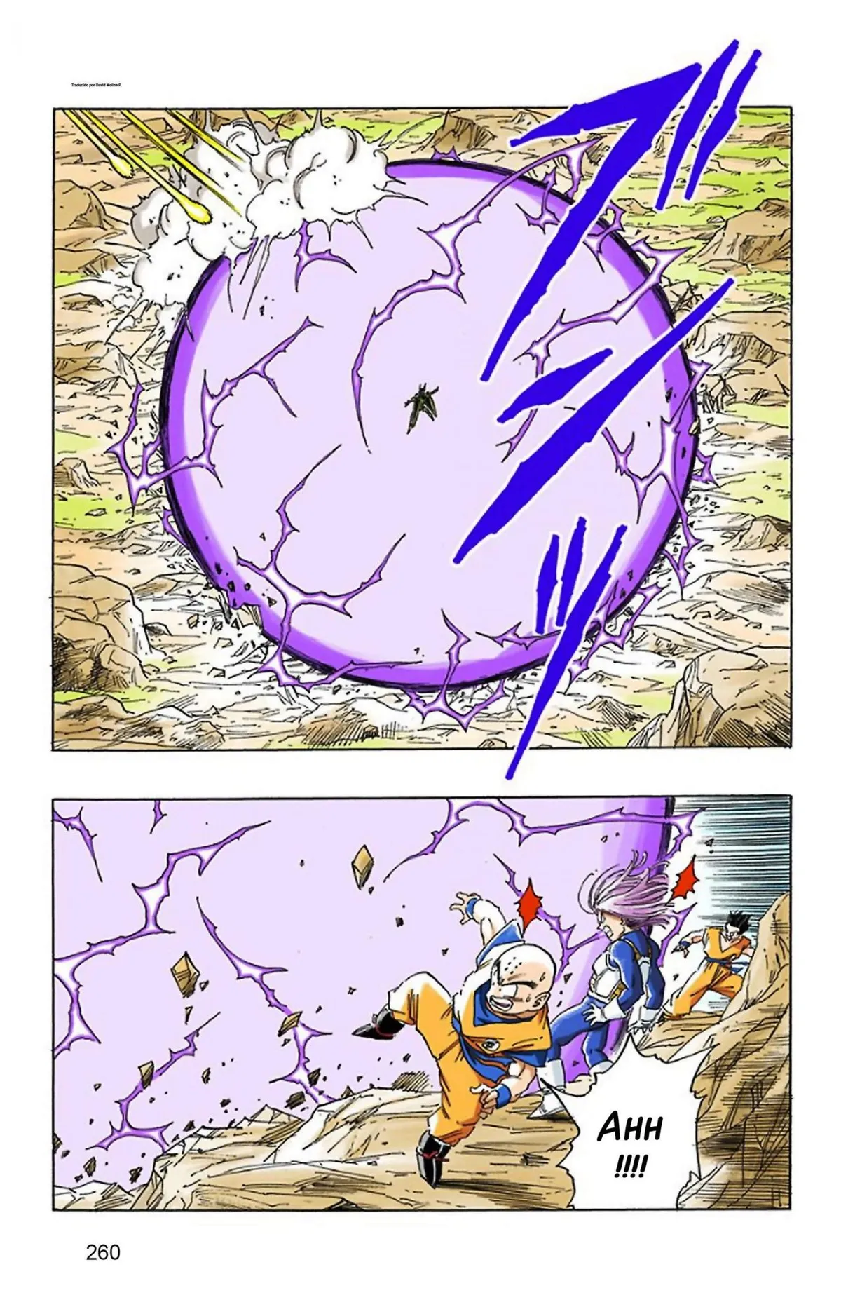 Dragon Ball Full Color Saiyan Arc Capítulo 20 en Línea - página 94