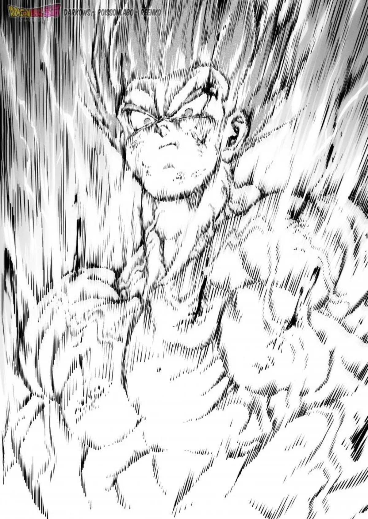 Dragon Ball Kakumei Capítulo 1 en Línea - página 15
