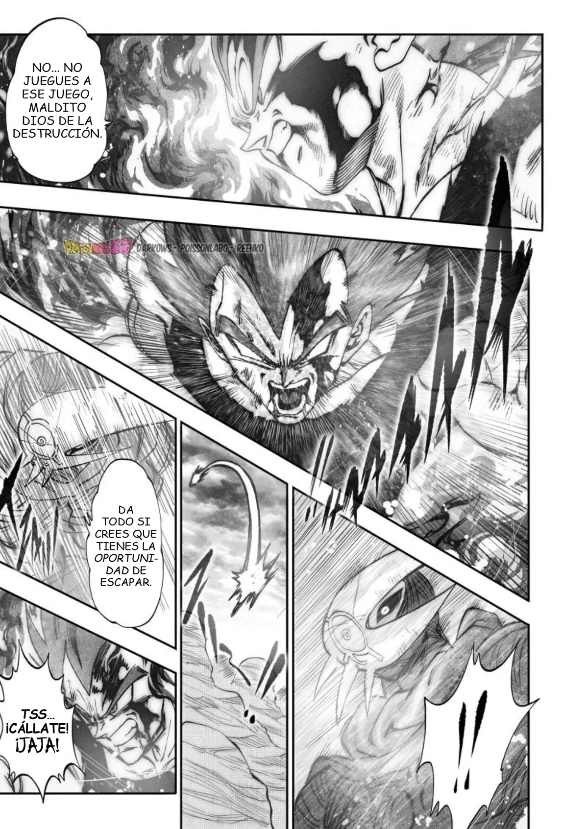 Dragon Ball Kakumei Capítulo 15 en Línea - página 16