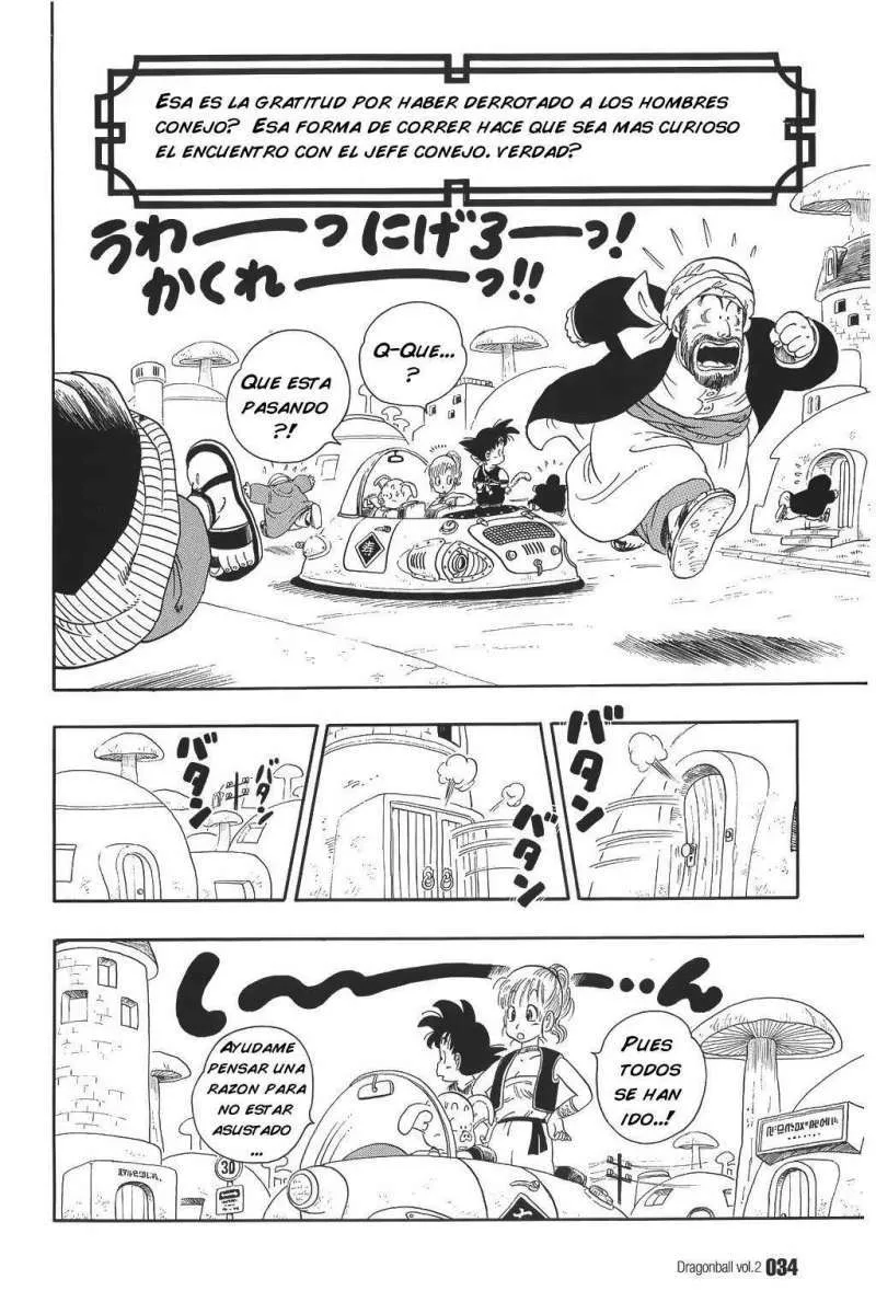 Dragon Ball Capítulo 17 en Línea - página 1