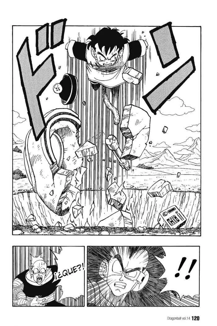 Dragon Ball Capítulo 203 en Línea - página 1