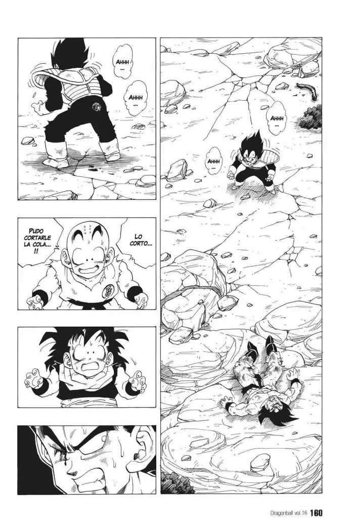 Dragon Ball Capítulo 236 en Línea - página 1