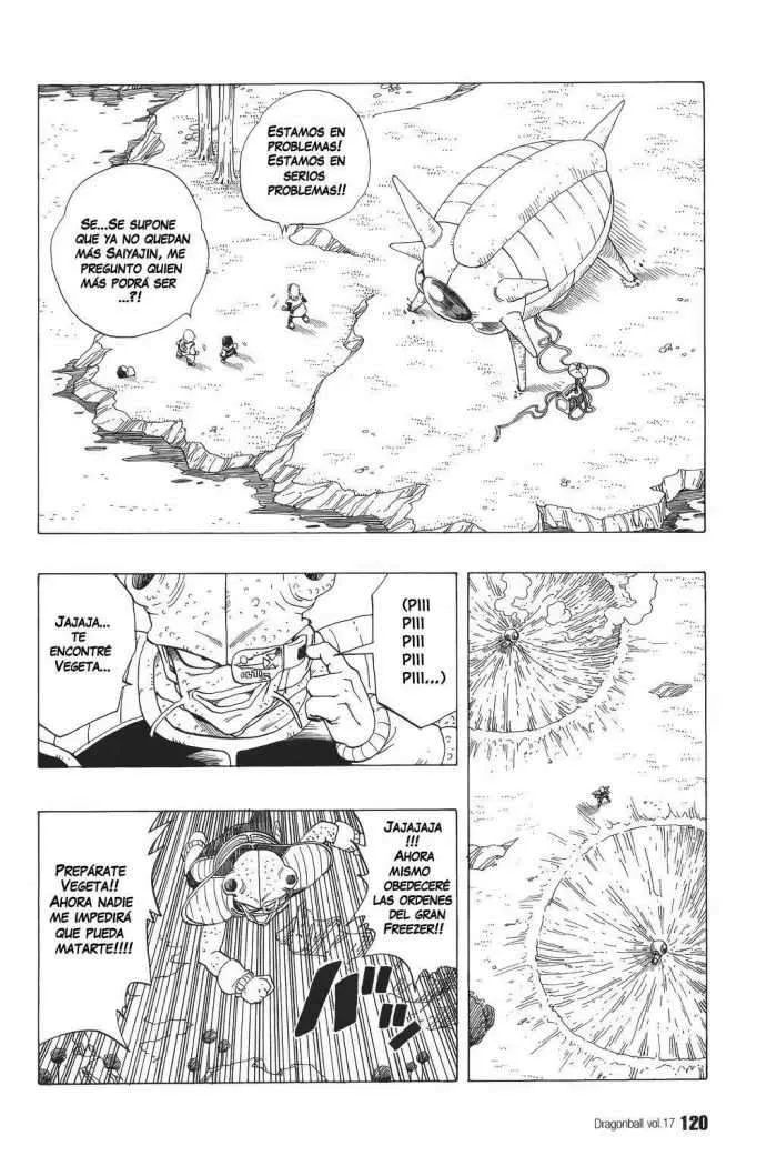 Dragon Ball Capítulo 248 en Línea - página 1