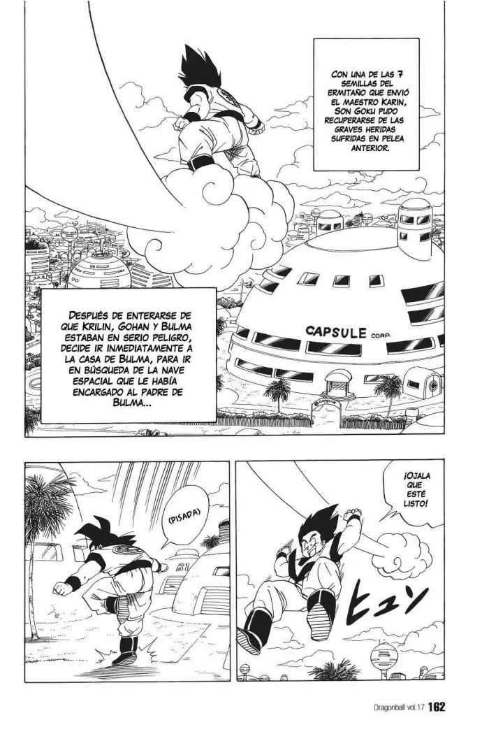 Dragon Ball Capítulo 251 en Línea - página 1