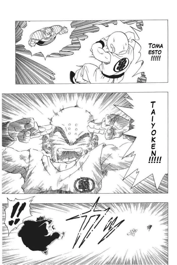 Dragon Ball Capítulo 256 en Línea - página 1
