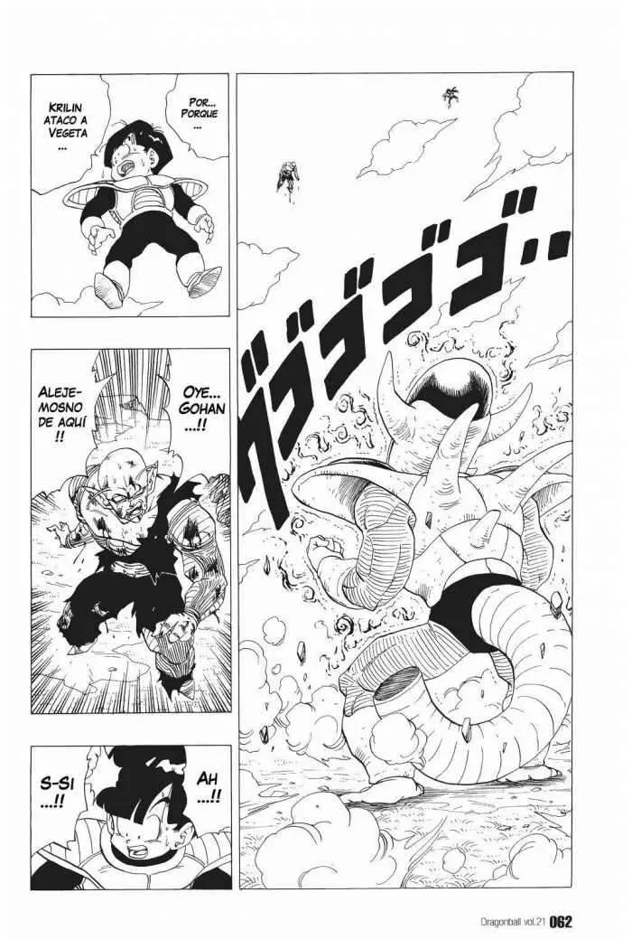Dragon Ball Capítulo 304 en Línea - página 1