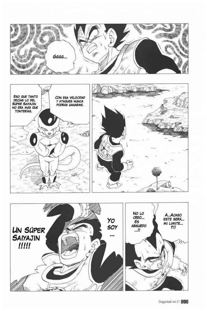 Dragon Ball Capítulo 306 en Línea - página 1
