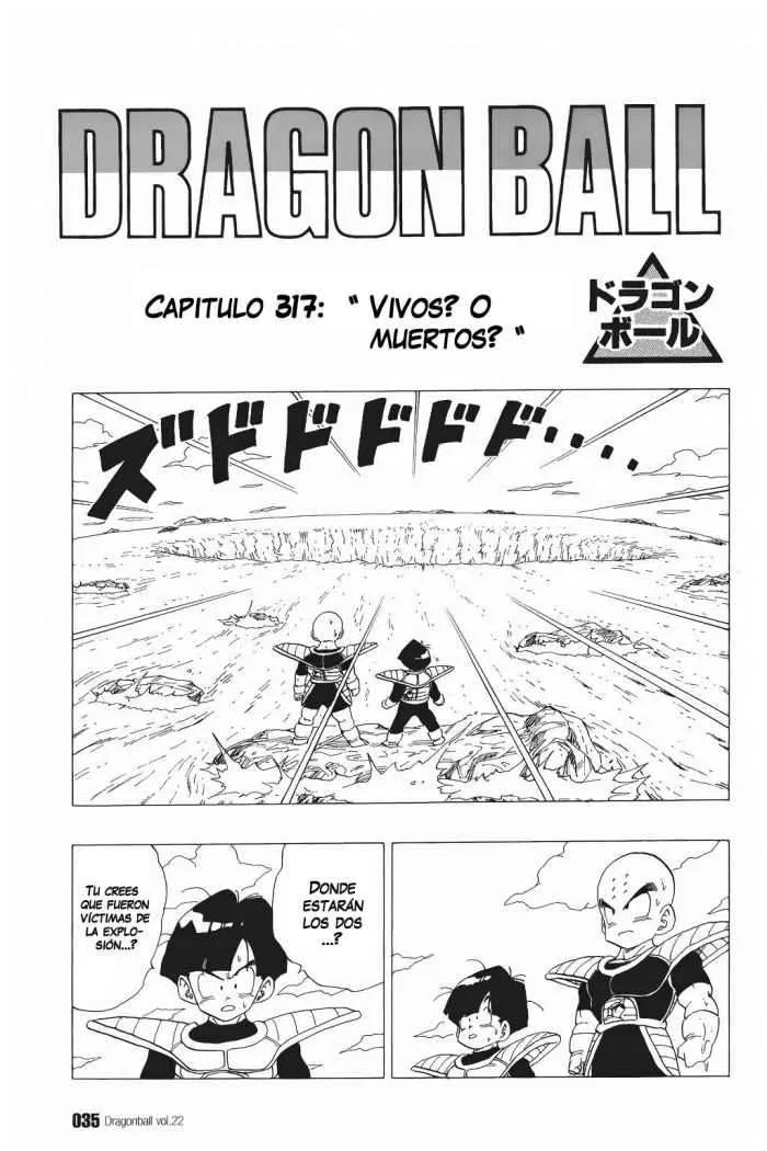Dragon Ball Capítulo 317 en Línea - página 1