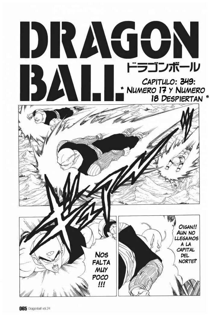 Dragon Ball Capítulo 349 en Línea - página 1