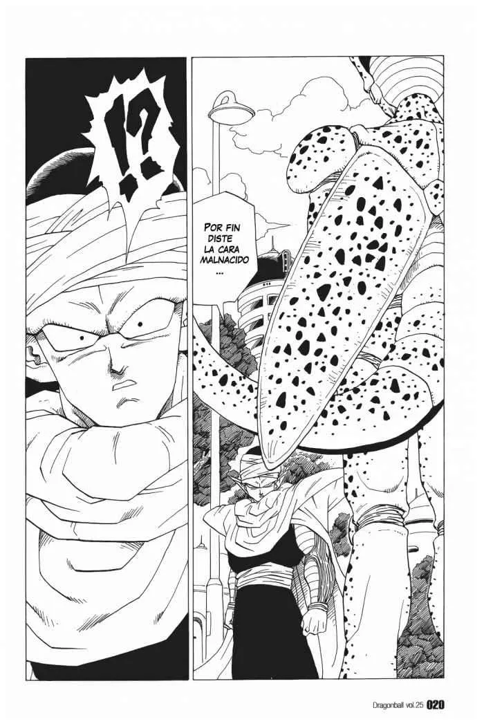 Dragon Ball Capítulo 361 en Línea - página 1