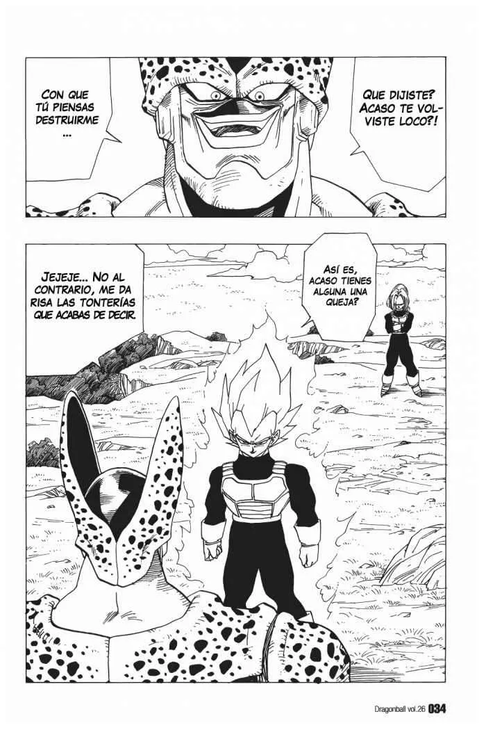 Dragon Ball Capítulo 377 en Línea - página 1