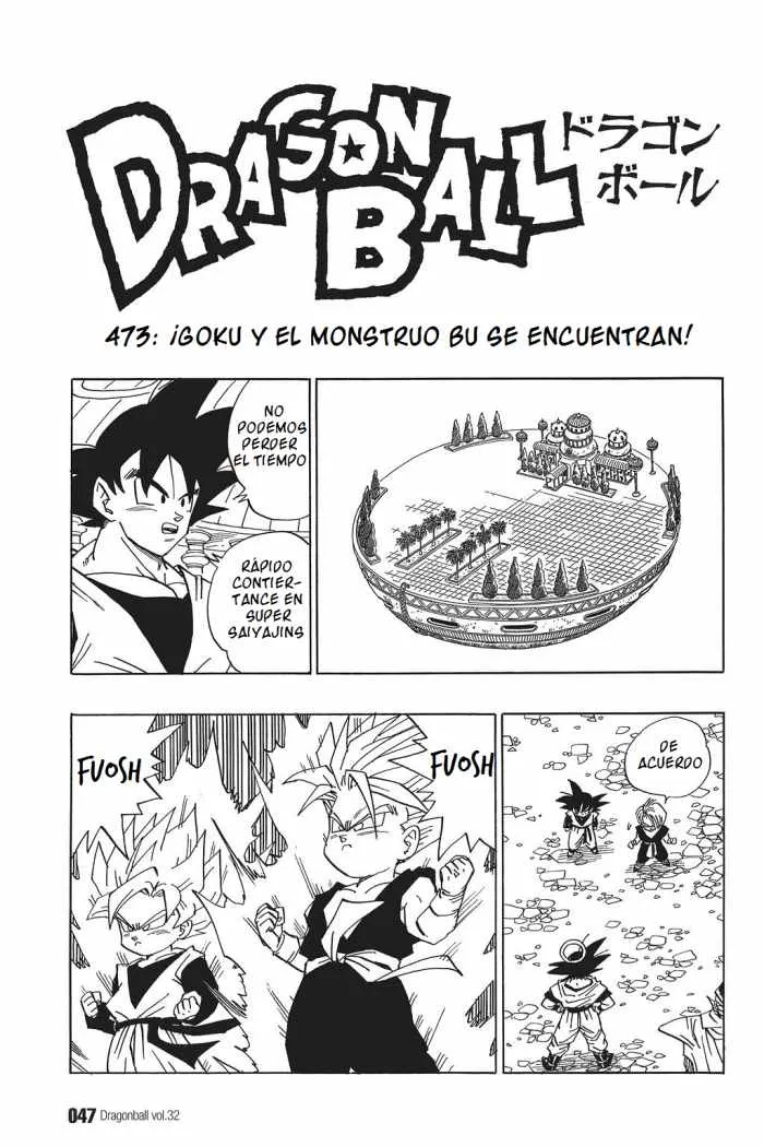Dragon Ball Capítulo 473 en Línea - página 1
