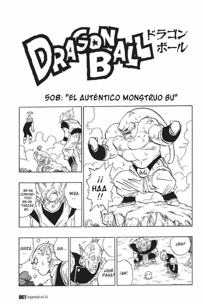 Dragon Ball Capítulo 508 en Línea - página 1