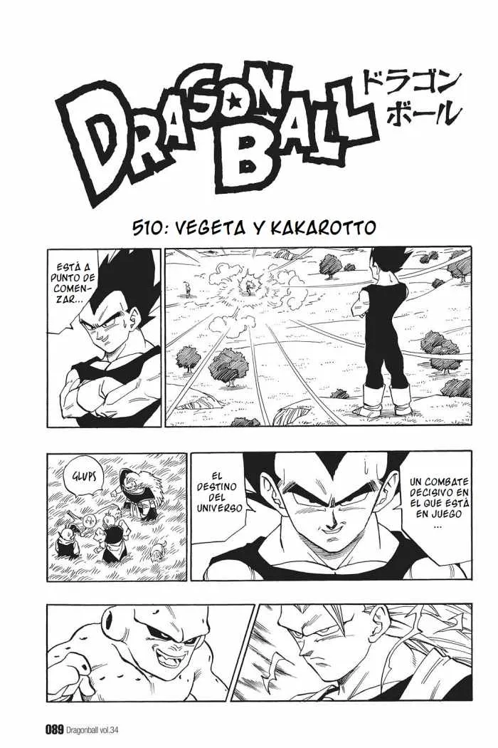Dragon Ball Capítulo 510 en Línea - página 1