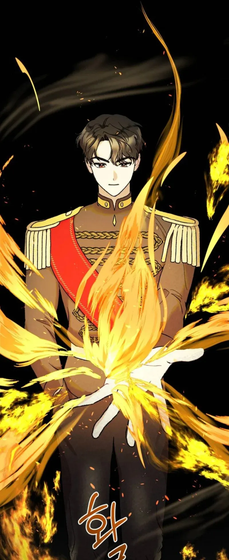 Echoes of Destiny: The Second Protagonist's Odyssey Capítulo 9 en Línea - página 14