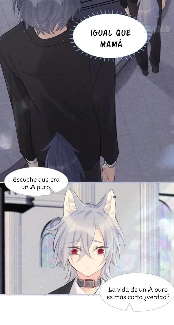 El chocolate está prohibido para los perros Capítulo 60 en Línea - página 12