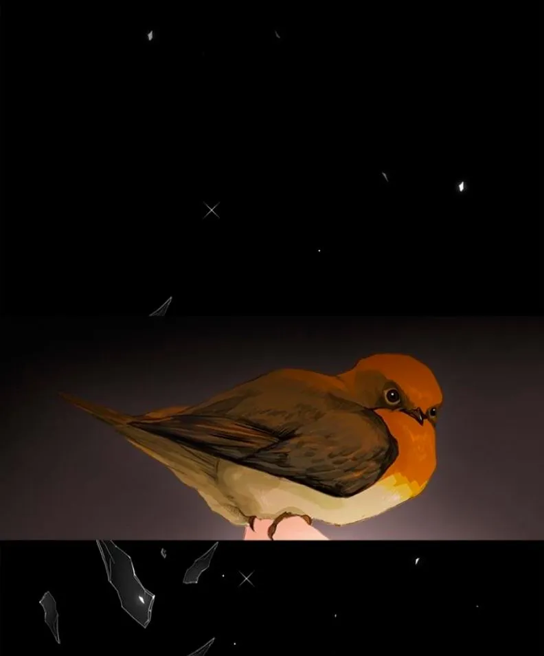 El Coleccionista de aves Capítulo 0 en Línea - página 9