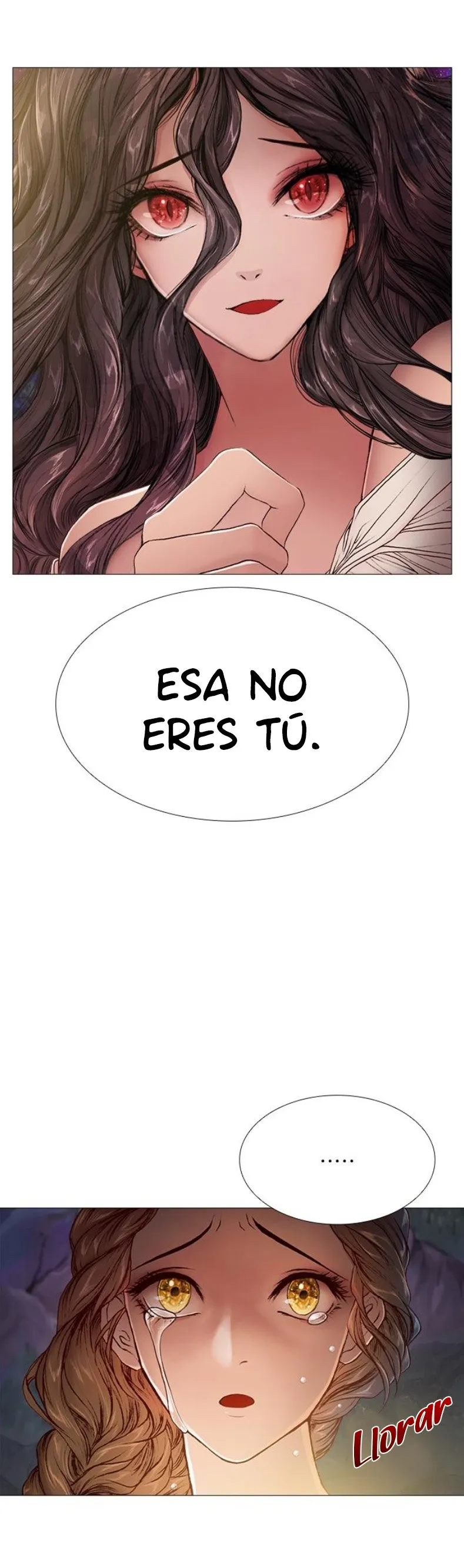 El Coleccionista de aves Capítulo 19 en Línea - página 19