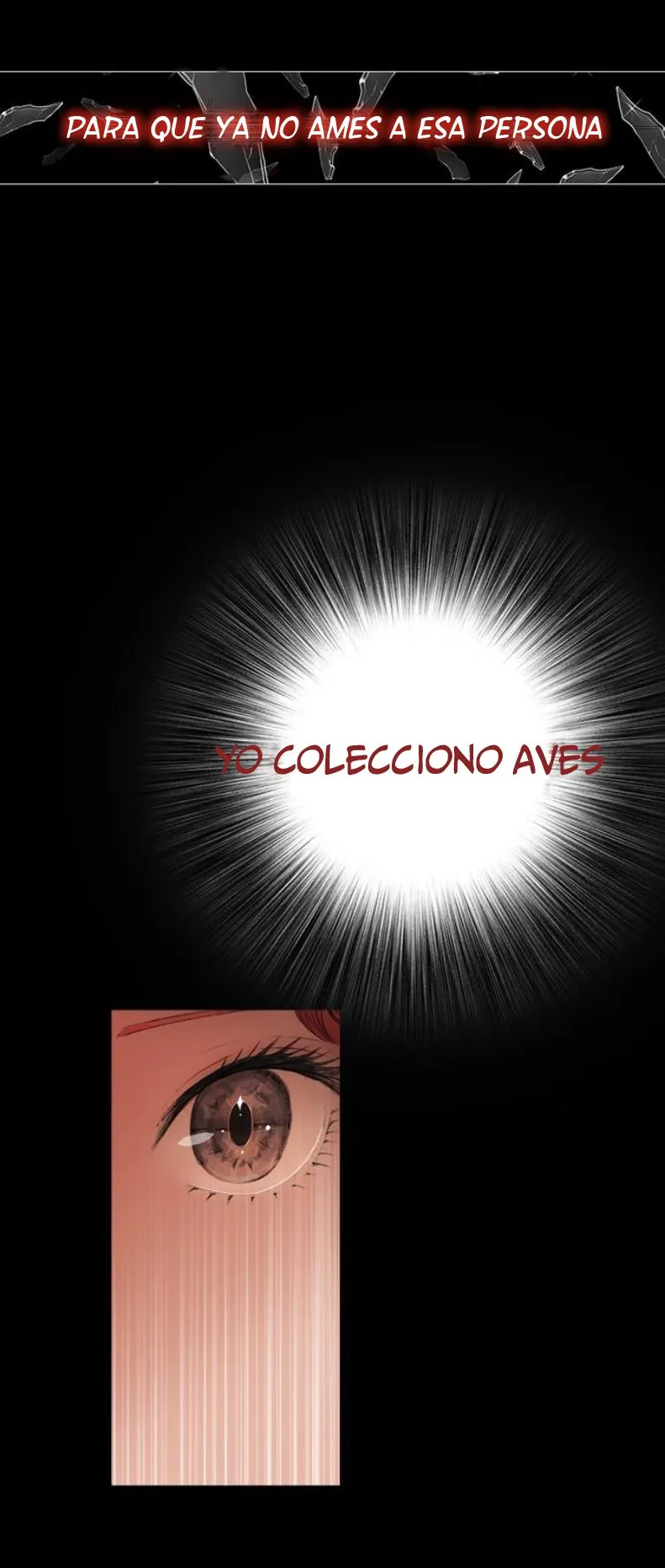 El Coleccionista de aves Capítulo 3 en Línea - página 33