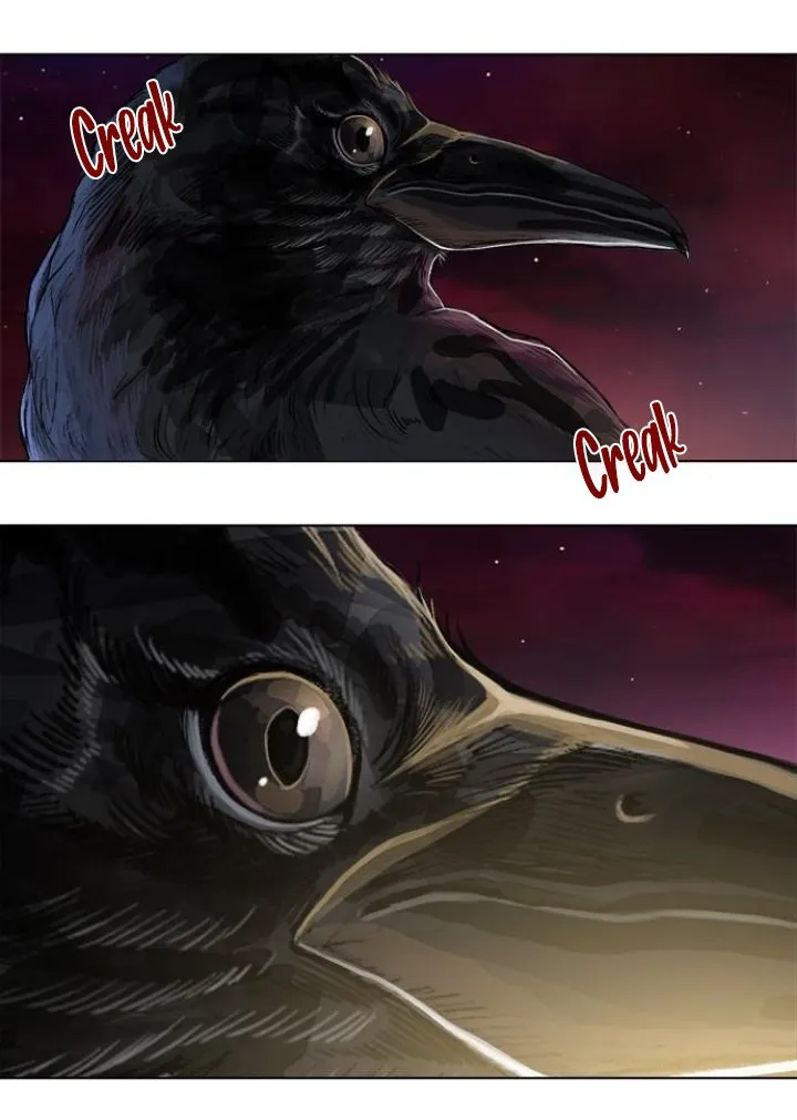 El Coleccionista de aves Capítulo 9 en Línea - página 52