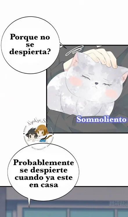 ¿EL GATO CALLEJERO QUE RECOGÍ SE CONVIRTIÓ EN HUMANO? Capítulo 56 en Línea - página 16