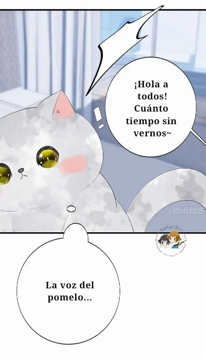 ¿EL GATO CALLEJERO QUE RECOGÍ SE CONVIRTIÓ EN HUMANO? Capítulo 62 en Línea - página 10