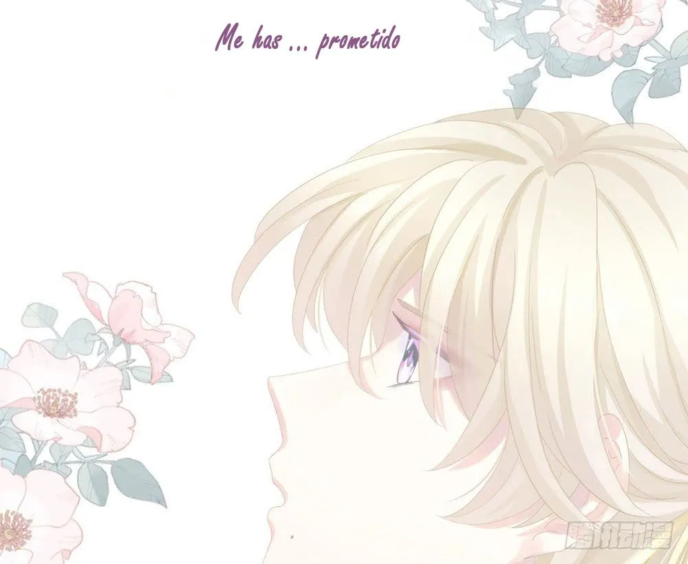 El harem de la princesa Capítulo 0 en Línea - página 18
