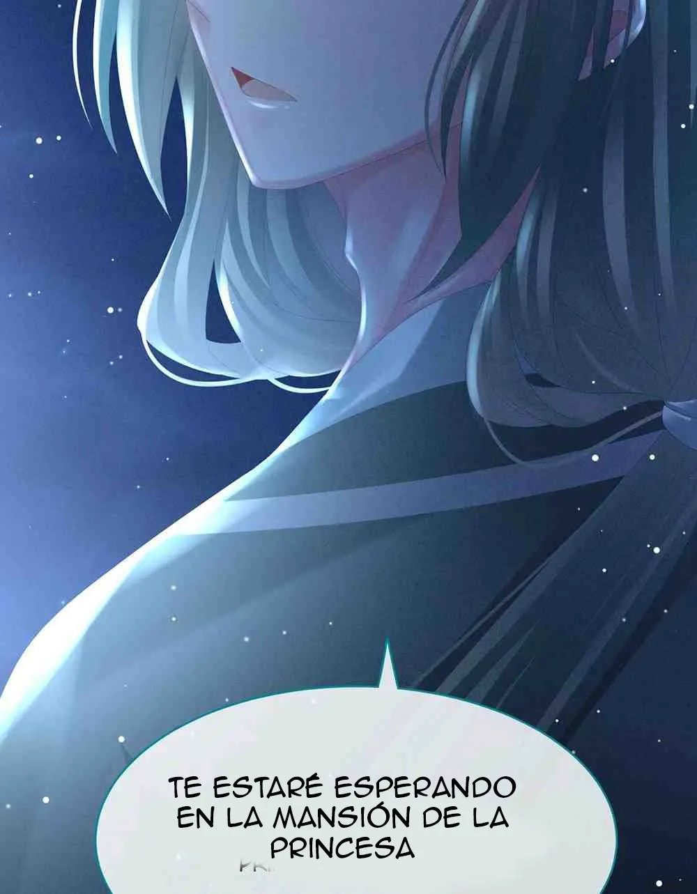 El harem de la princesa Capítulo 29 en Línea - página 41