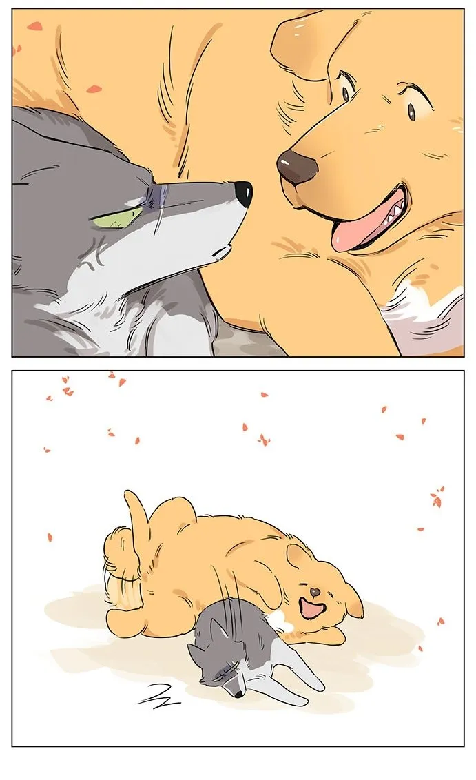 El lobo y su Cachorro Capítulo 48 en Línea - página 10