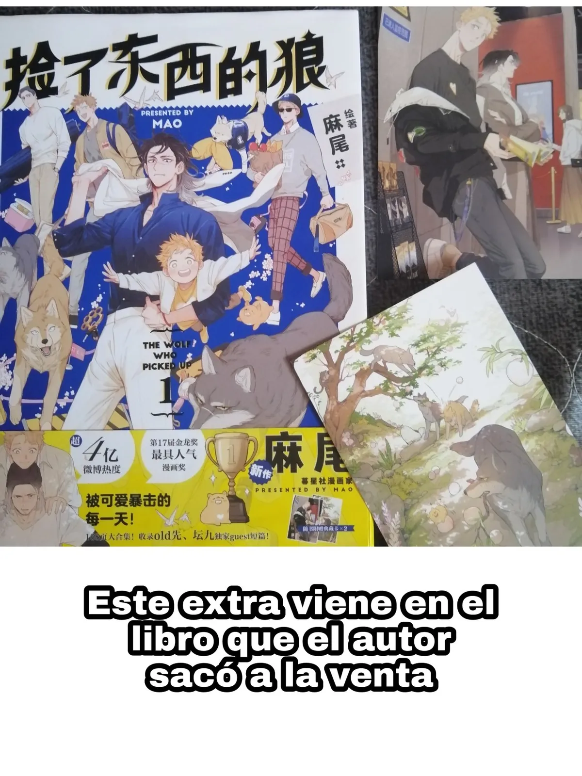 El lobo y su Cachorro Capítulo 53.5 en Línea - página 3