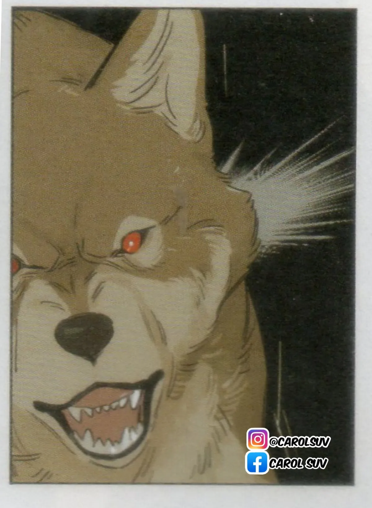 El lobo y su Cachorro Capítulo 53.5 en Línea - página 8
