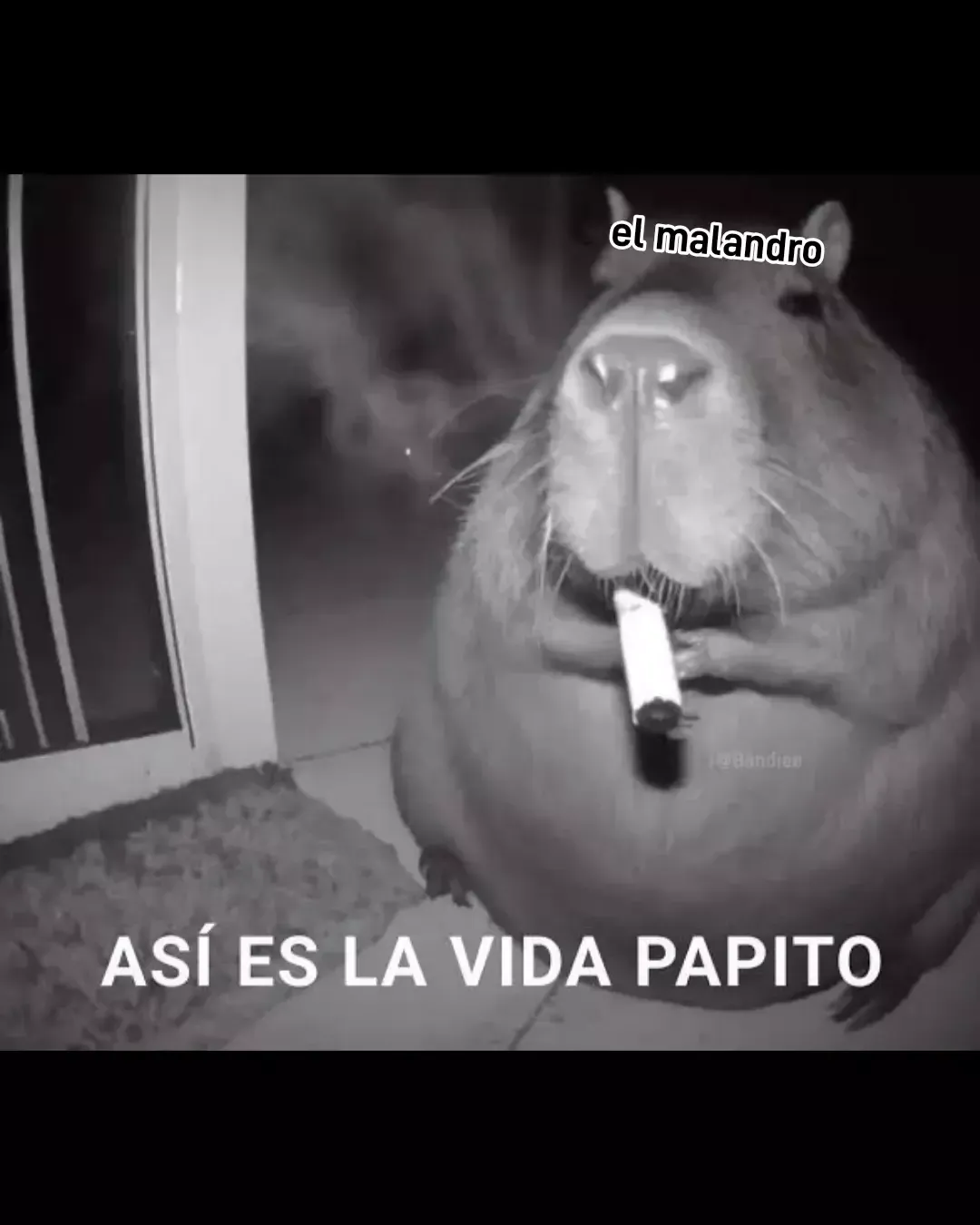 El rehén descarado Capítulo 6 en Línea - página 20