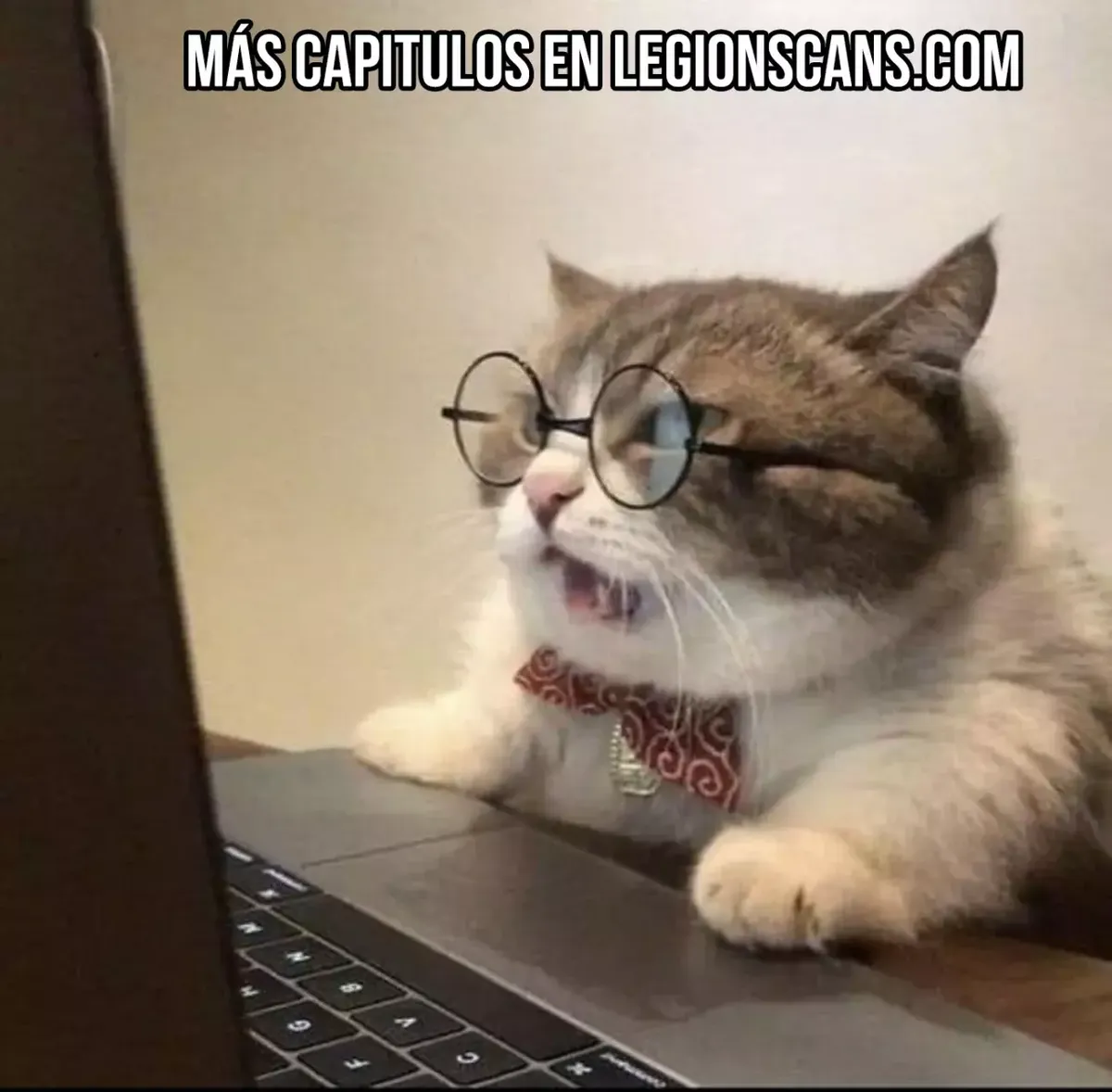 El tigre que va entrando. Capítulo 52 en Línea - página 18