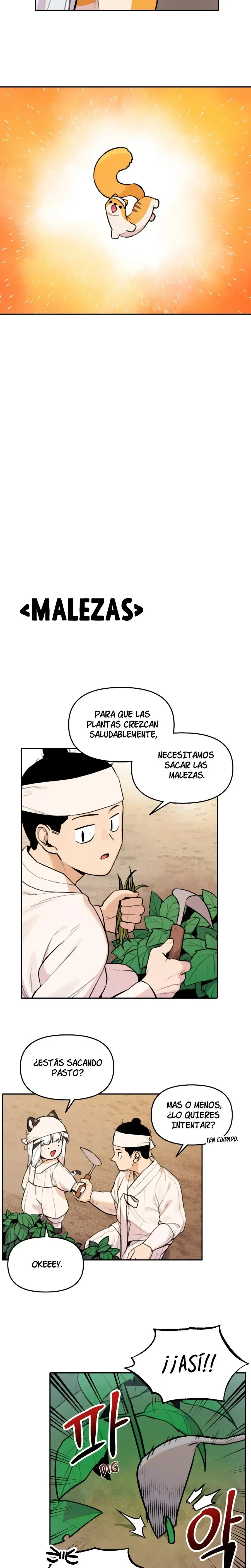 El tigre que va entrando. Capítulo 91 en Línea - página 11